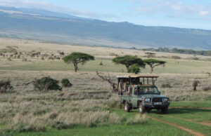 8 Biggest Travel Mistakes to Avoid During African Safaris Africa Safari Adventure