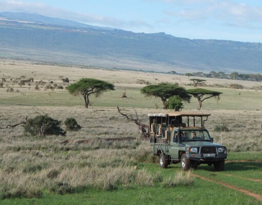 8 Biggest Travel Mistakes to Avoid During African Safaris Africa Safari Adventure