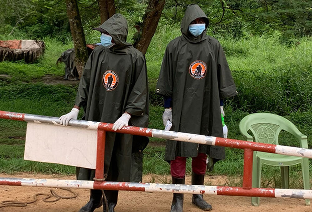 Ray of Hope for Marginalized Batwa Communities of Uganda and DR Congo Virunga Programs