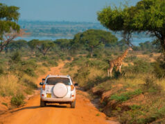 Planning a Self Guided Uganda Road Trip Self Guided Uganda Safari