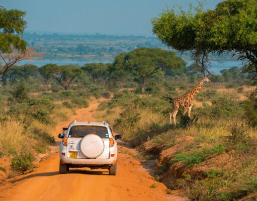 Planning a Self Guided Uganda Road Trip Self Guided Uganda Safari