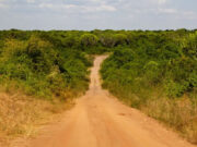 Exploring Uganda with a Rental Car Uganda Road Trip