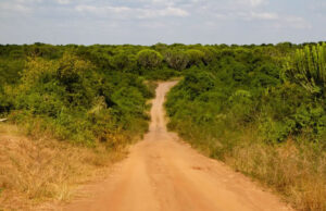Exploring Uganda with a Rental Car Uganda Road Trip