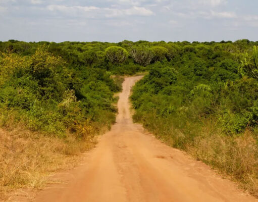 Exploring Uganda with a Rental Car Uganda Road Trip