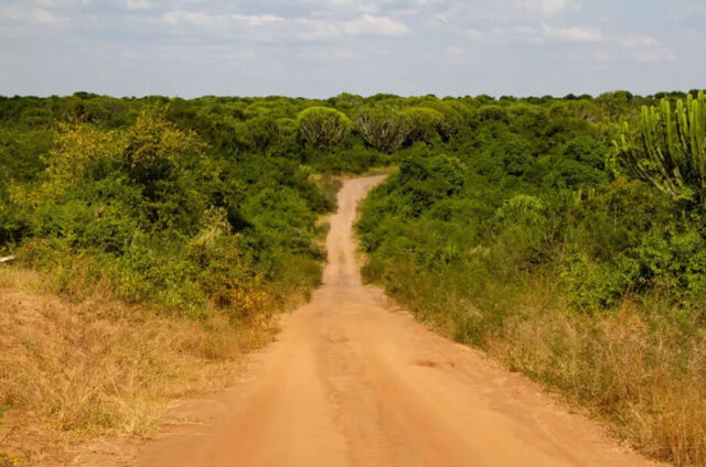 road-trip-uganda Uganda Road Trip